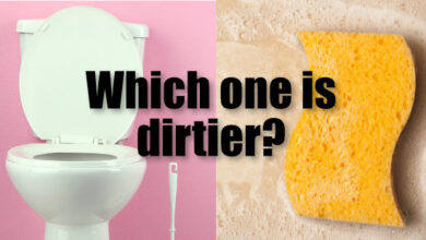 10 Daily-Use Things That Are Dirtier Than Your Toilet Seat