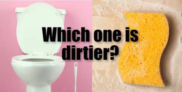 10 Daily-Use Things That Are Dirtier Than Your Toilet Seat