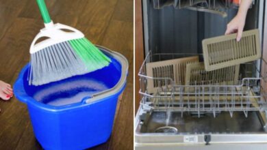 12 Hacks For A Super Clean Home