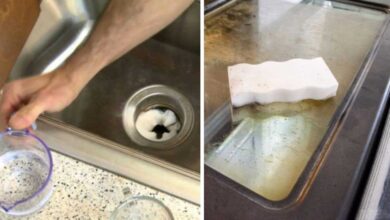 16 Clever Cleaning Tips For A Neat And Polished Kitchen