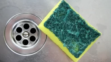 17 Germ Infested Things You Desperately Need To Clean More Often