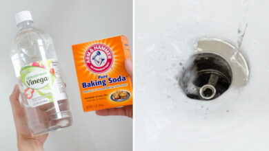 20 Genius Household Cleaning Tips That’ll Make Martha Stewart Jealous