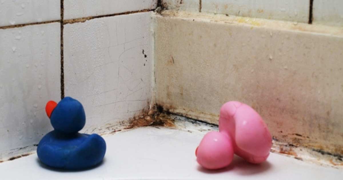 4 Ways To Get Rid Of Mold Without Having To Call A Professional