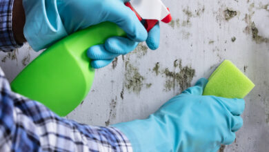 4 Ways To Get Rid Of Mold Without Needing A Professional