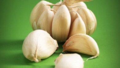 6 Reasons Why Garlic Is The Best For Your Health