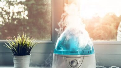 8 Reasons Why You Need A Humidifier In Your Home