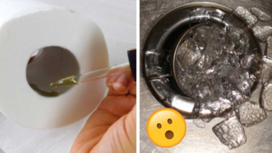 9 Tips To Eliminate Lingering Odors Throughout The House