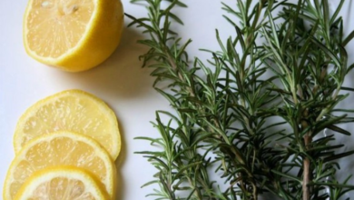 9 Tips to Make Your Home Smell Amazing – Without Using Chemicals