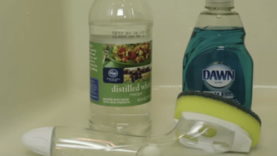 Clever Cleaning Hacks, Tips, And Tricks For An Easier Life