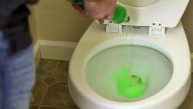 handyman pours dish soap into toilet – when he shows why? I Ran to try it!