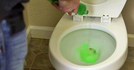 handyman pours dish soap into toilet – when he shows why? I Ran to try it!