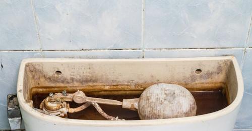 How To: Clean a Toilet Tank