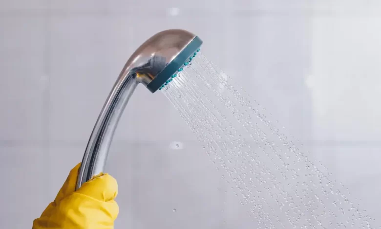 How to Clean Your Shower Head (and Why You Should)