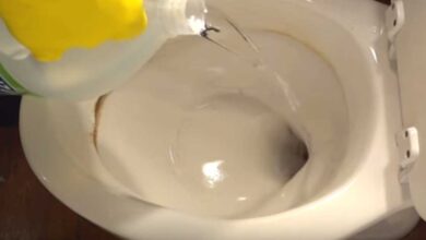 How To Remove Hard Water Stains From A Toilet Bowl