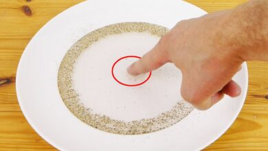 If Your Kids Don’t Want To Wash Their Hands, Make Them Try This Experiment