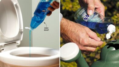 Surprising Frugal Uses Of Dawn Dish Soap