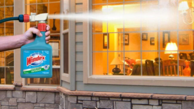 The 10 Best Products for Keeping Your Windows Clean