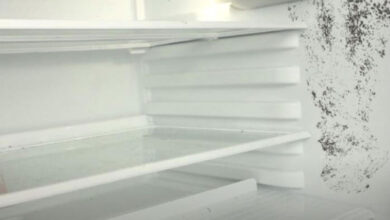 The fastest way to remove mold in the refrigerator