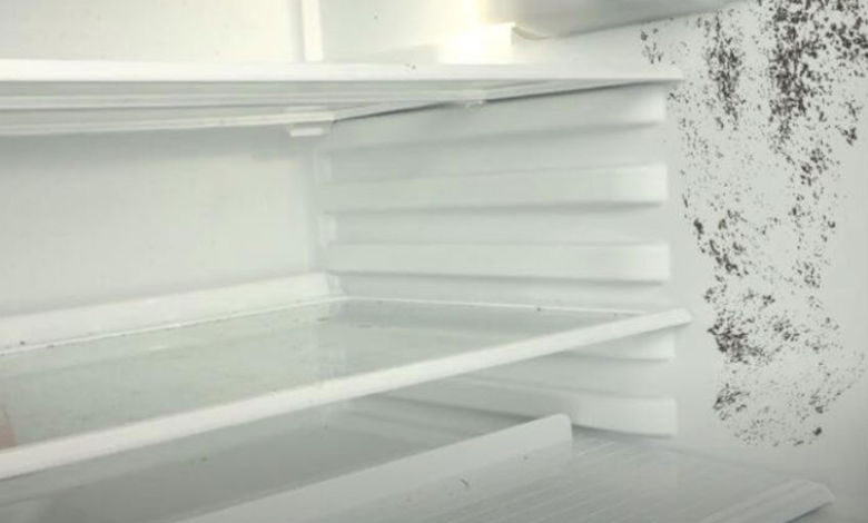 The fastest way to remove mold in the refrigerator