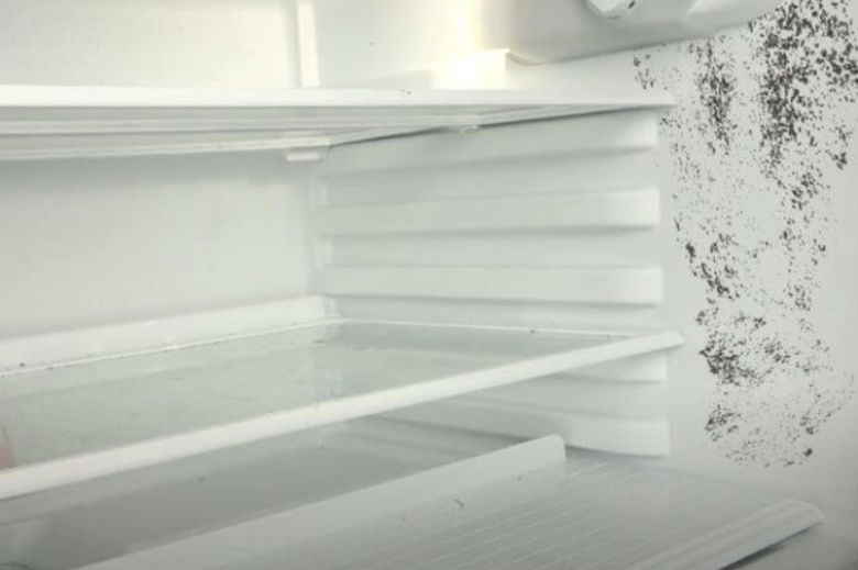 The fastest way to remove mold in the refrigerator