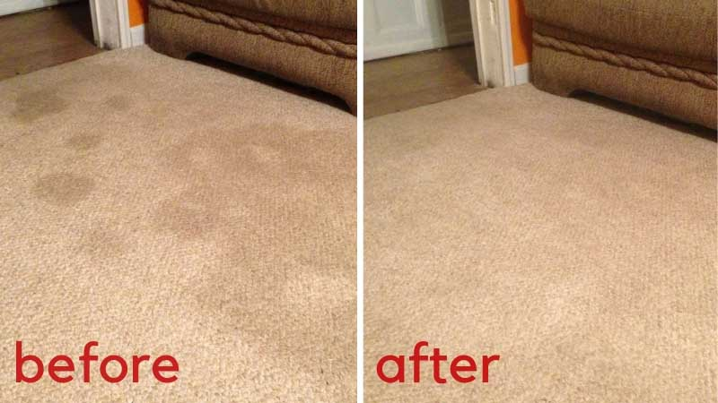 The Two Dollar Store Ingredients That Will Make Your Carpet Look New Again