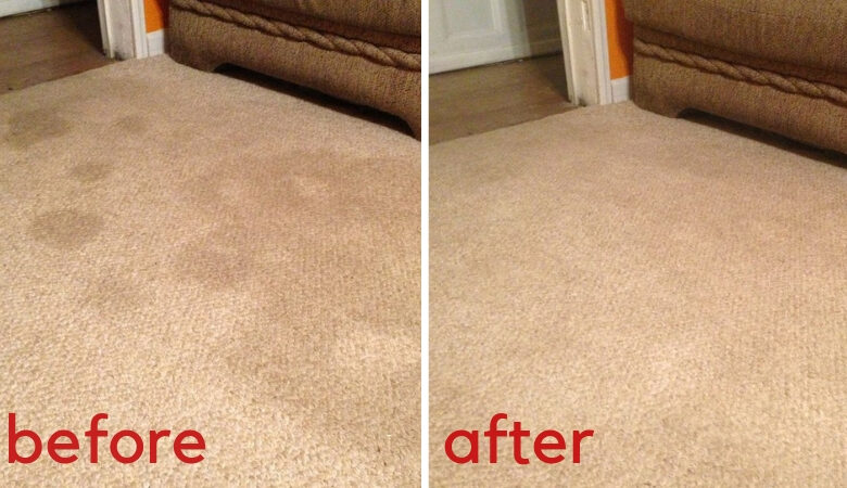 These Two Dollar Store Ingredients Will Transform Your Carpets!