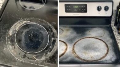 This Is The Most Satisfying Way We’ve Seen To Clean Stains Off Glass Stovetops