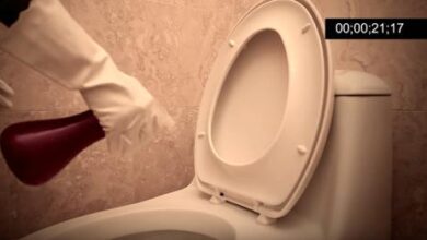 WoW! This Is The Quickest and Easiest Way To Clean a Toilet!