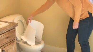 Your toilet cleaning routine will be easy with this