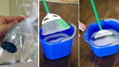 11+ Deep Cleaning Tips for a Spotless Home