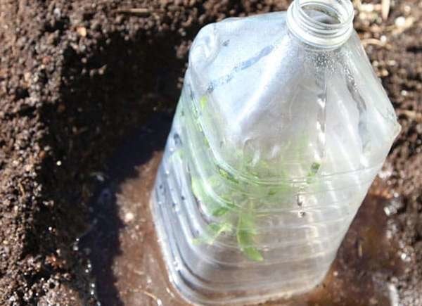 11 ways to reuse plastic bottles