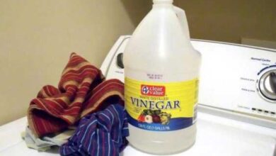 5 Reasons To Add Vinegar In With The Laundry