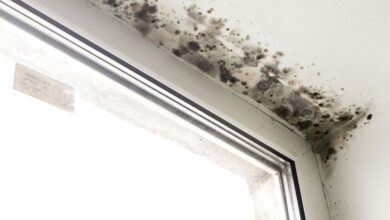 7 Effective Ways to Remove Mold Naturally