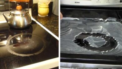 8 Quick And Easy Ways To Make Your Glass-Top Stove Clean Again