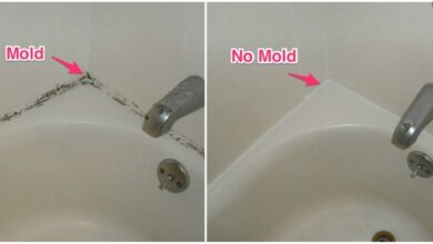 Best way to remove mold and stains from shower and tub caulking