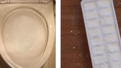 Hate scrubbing toilets? Check out this DIY tip and never do it again.