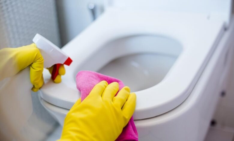 How To Clean Your Whole Bathroom In 5 Minutes.