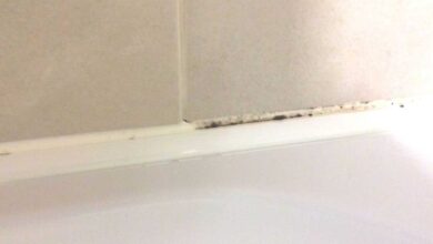 How To Easily Remove Mold And Mildew From Bathroom Caulking