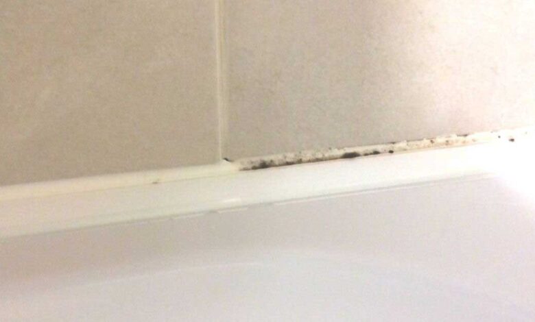 How To Easily Remove Mold And Mildew From Bathroom Caulking