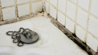 Solved! What to do about black mold in the bathroom?