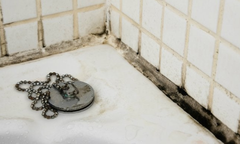 Solved! What to do about black mold in the bathroom?