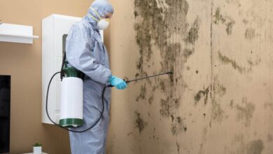 Solved! Who Do You Call for Mold Inspection?