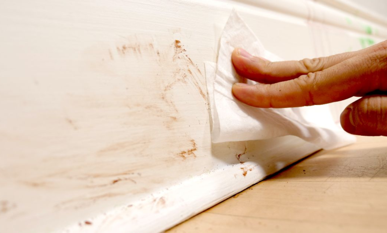 When was the last time you cleaned your baseboards? Here are 5 tips to make this chore easier