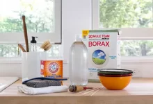Borax Could Make These 25 Tasks So Much Easier